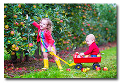 Children playing outside